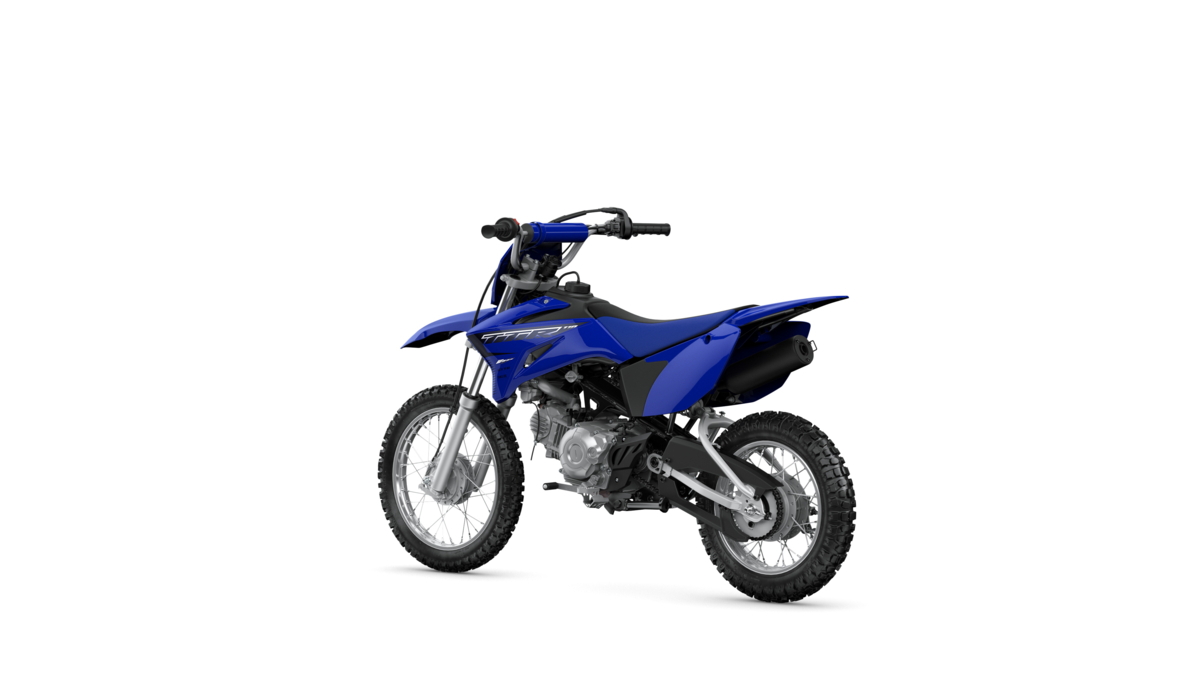 TTR 110 2023 2